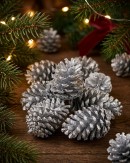 Natural Large Silver Glittered Pinecones | 200g