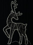 1m Reindeer With White LED String & Neon Flex Light Display
