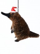 Platypus Australian Native Wildlife Christmas Hanging Decoration - 13cm