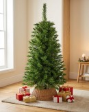 1.2m Valley Fir Evergreen Christmas Sapling Tree | 154 Tips & Attached Branches