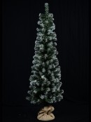 Whitetip Pine Slim Traditional Christmas Tree With 212 Tips - 1.5m