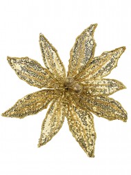Code PICK2520