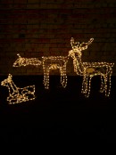 3x Neutral White LED Rope Light Animated Reindeer Christmas Light Display