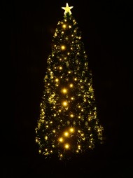 Code TREEFX74