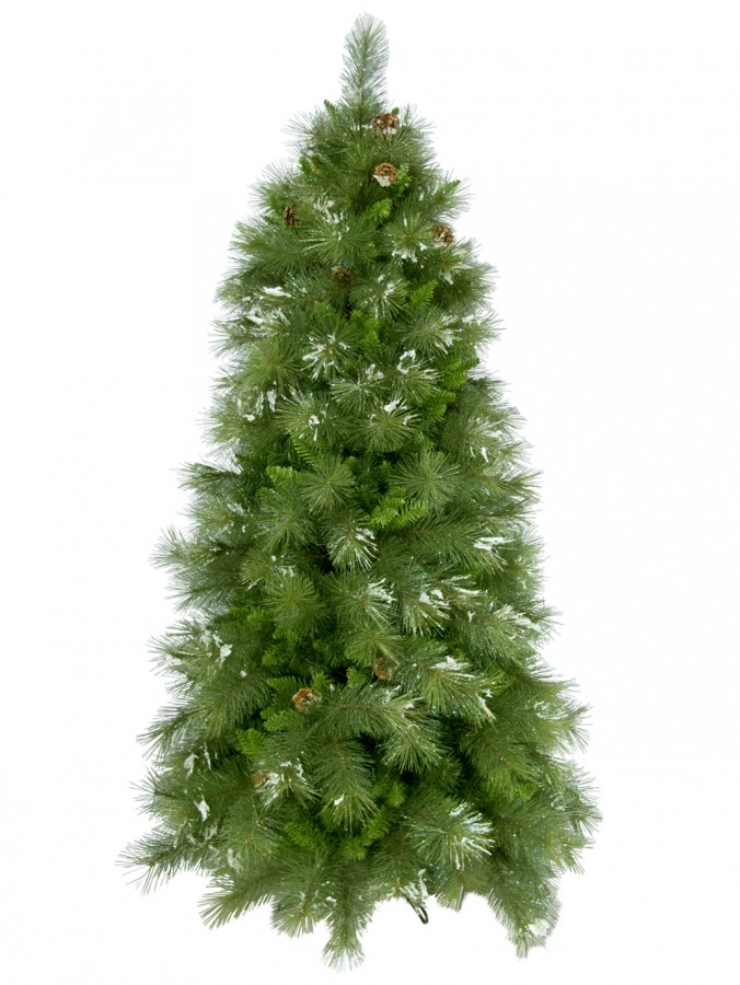 Siberian Cedar Pine Christmas Tree With 1174 Tips - 2.3m