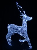 Cool White LED Crystal 3D Winter Reindeer - 1.3m