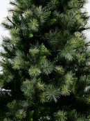 Pacific Green Fir Pre-Lit Tree With 1361 Tips & 550 Dual Colour Lights - 2.3m