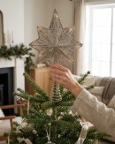 Large Warm White LED Champagne Star Of Bethlehem Tree Topper | 42cm