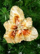 Platinum & Brown With Sequins Tulip Christmas Flower Clip Pick - 20cm Wide