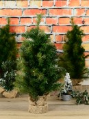 65cm Balsam Pine & Fir Needle Tabletop Tree with 104 Tips