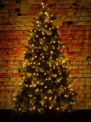 500 Warm White LED Solar String Fairy Lights 8 Function | 50m