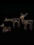 3x Neutral White LED Rope Light Animated Reindeer Christmas Light Display