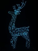 Rainbow Reindeer 3D Smart LED Outdoor Christmas Motif | 1.5m 17 Sequences