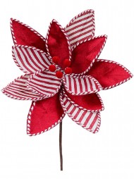 Code STEM2605