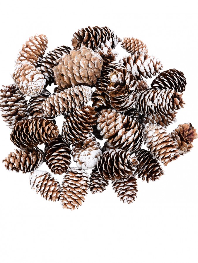 Decorative White Frosted Natural Christmas Long Pine Cones - 100g
