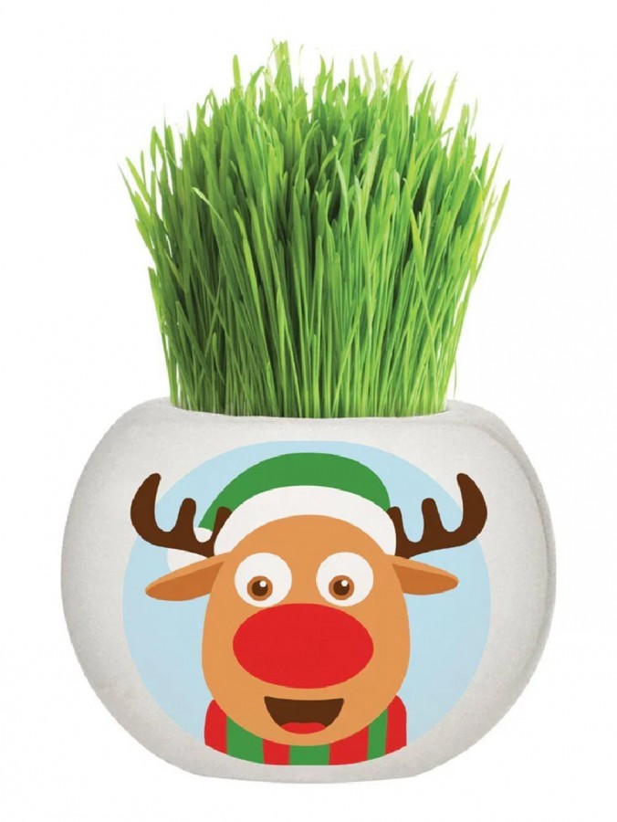 Mr. Fothergills Rudolph Grass Grow Kit | Miniature Ceramic Christmas Planter