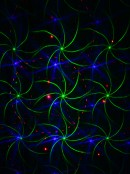 Red Green & Blue Multi Pattern LED Christmas Garden Laser Light | 17m x 15m