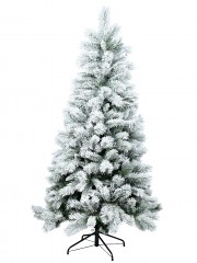 Code TREEYS23