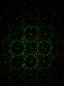 Red & Green Laser Light with Christmas & Halloween Patterns