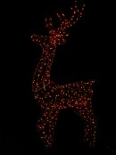 Rainbow Reindeer 3D Smart LED Outdoor Christmas Motif | 1.5m 17 Sequences