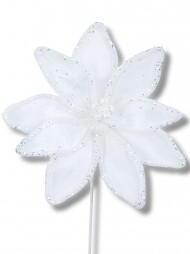 Code STEM2633