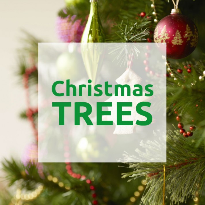 Christmas Decorations Christmas Trees And Christmas Lights Buy Online From The Christmas Warehouse