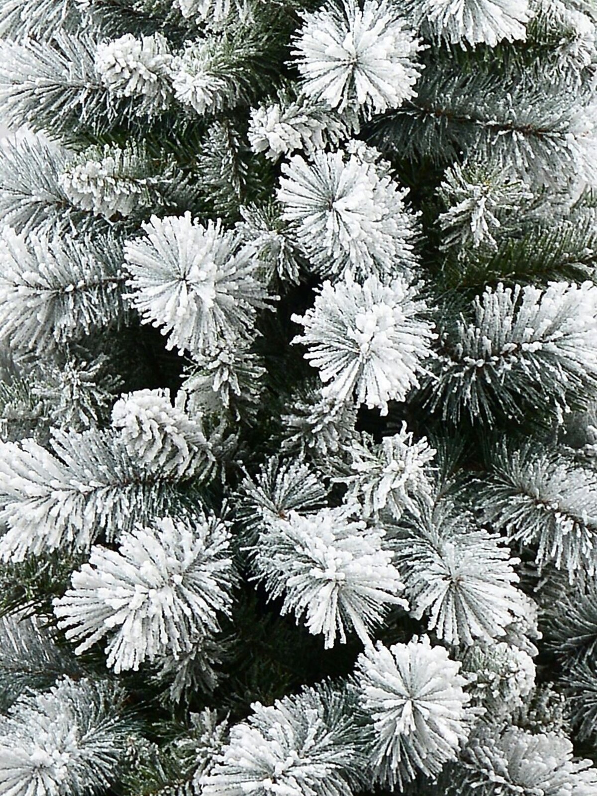 1.8m Bavarian Heavily Flocked Dual Tip Christmas Tree | 497 Spruce & Fir Tips — image 5
