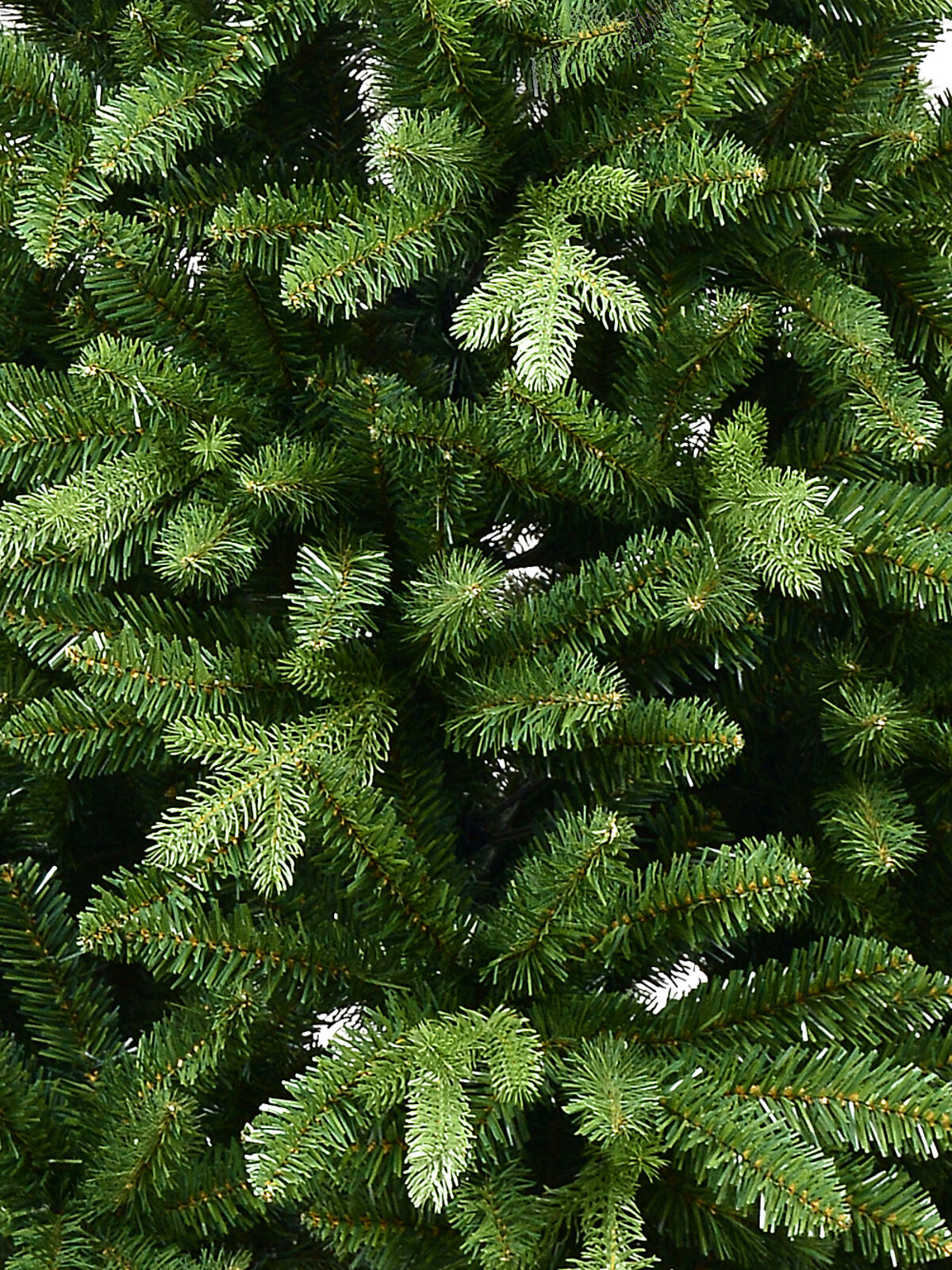 1.8m Muskwa Mountain Dual Tip Christmas Tree | 1259 Juniper & Fir Tips — image 5