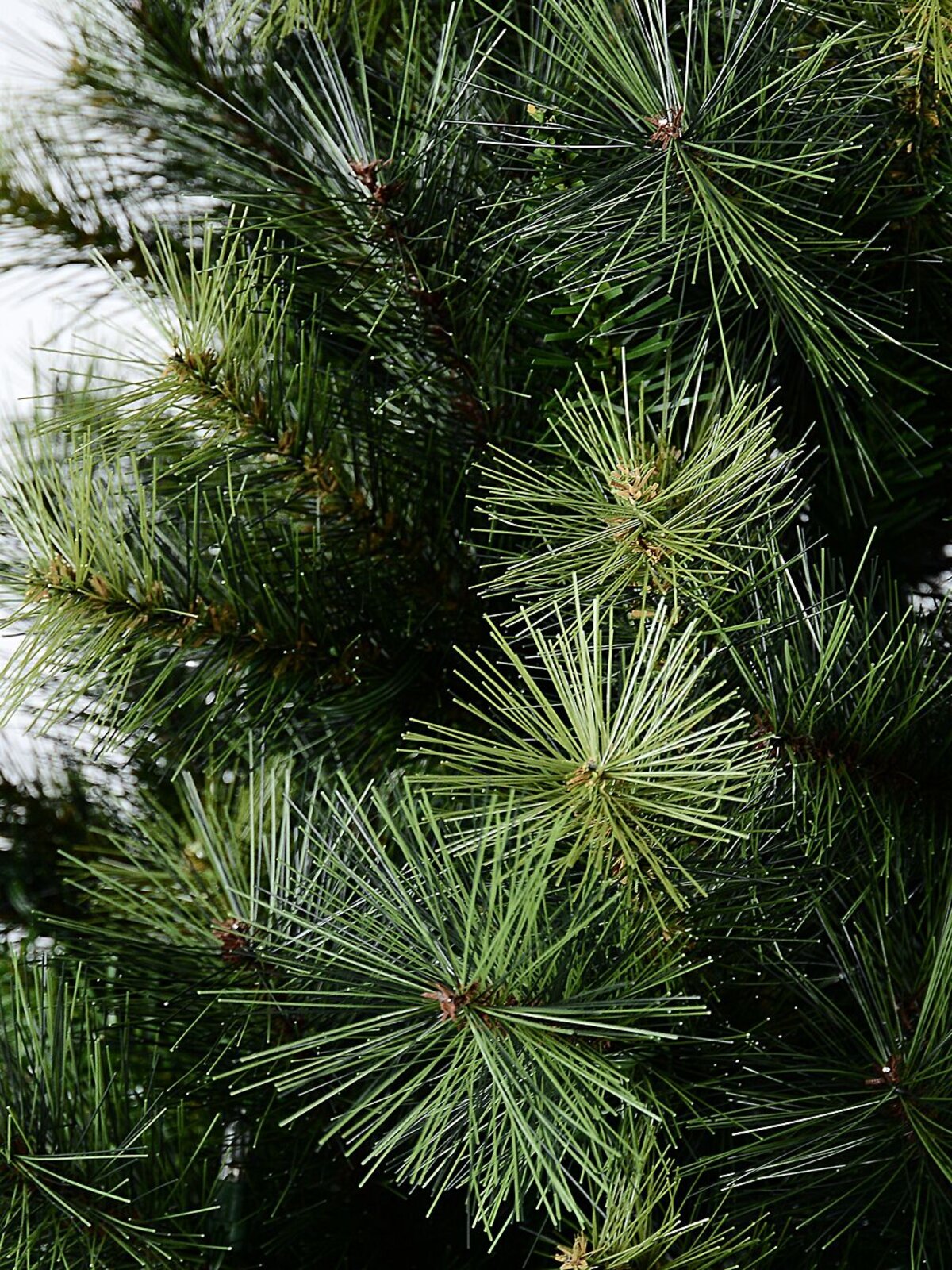 2.3m Glorious Pacific Green Dual LED Pre-Lit Tree | 1361 Tips & 550 Lights — image 8