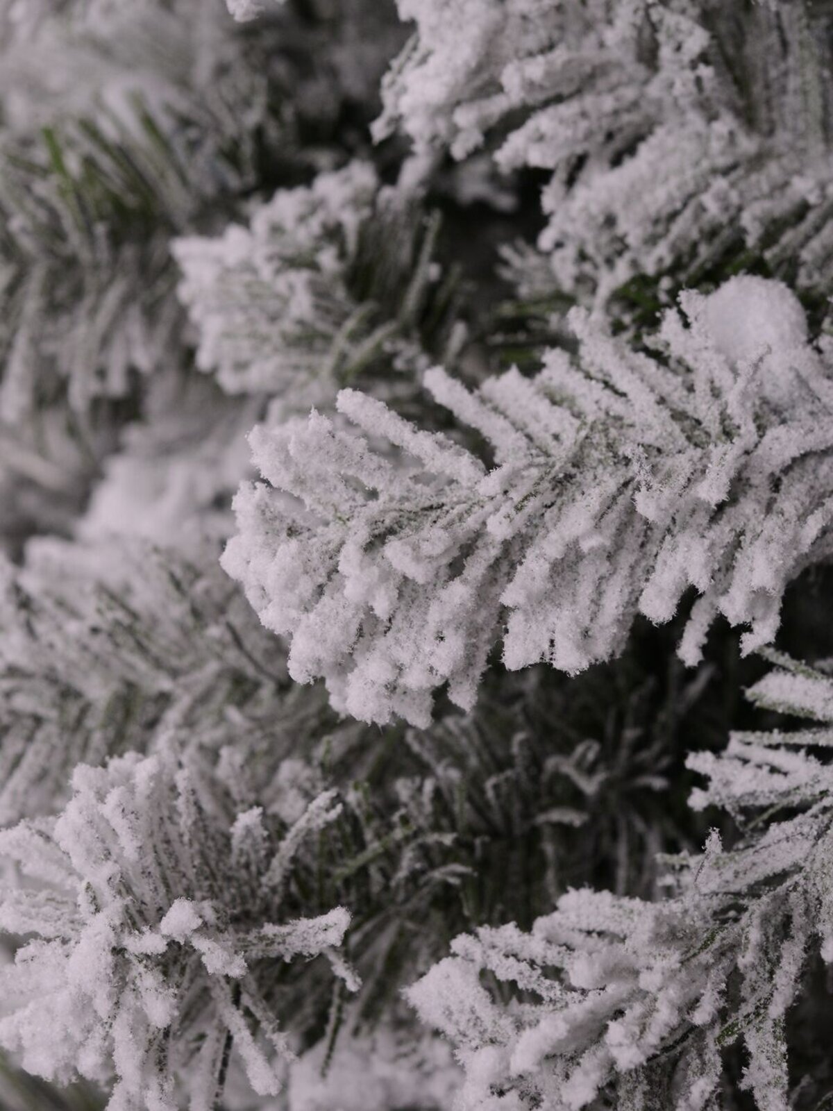 Dual Colour Pre-Lit Moderately Flocked Christmas Tree With 1144 Tips - 2.3m
