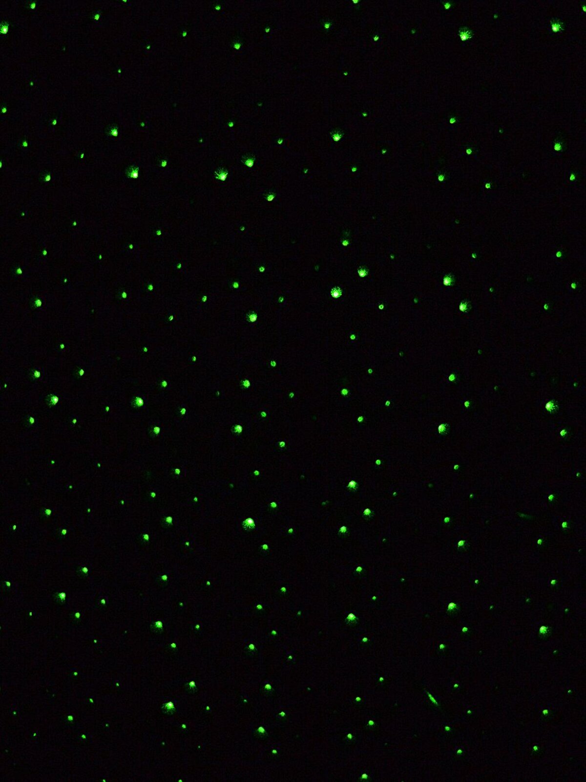 Red & Green Dot Starry Night LED Christmas Garden Laser Light |  5m x 5m — image 3