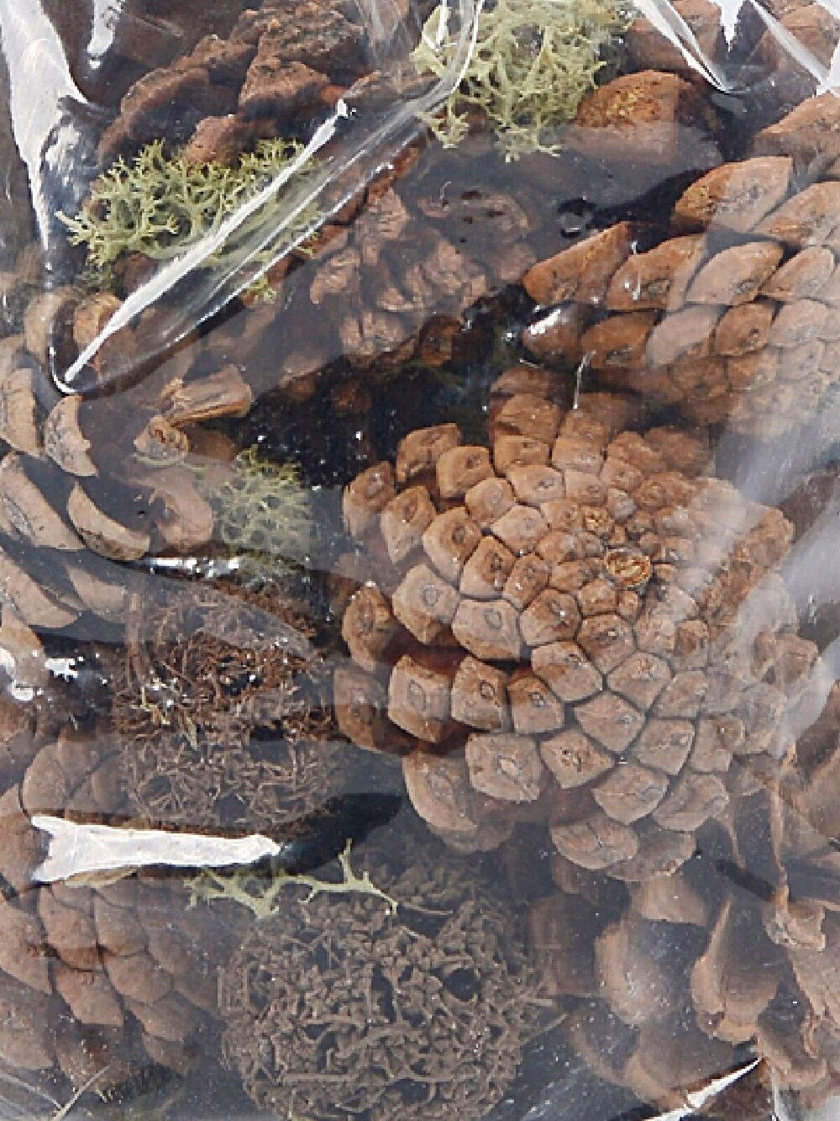 Various Natural Pine Cones With Moss & Bells Christmas Decoration Mix - 150g