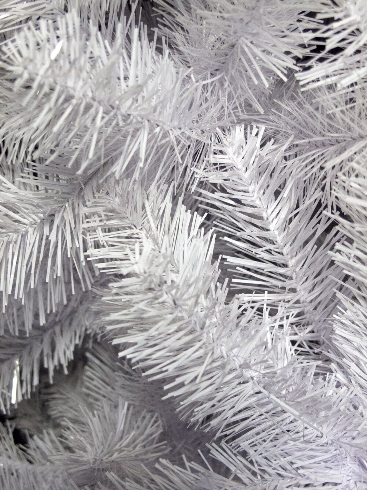 Winter White Pine Christmas Tree - 2.3m — image 5