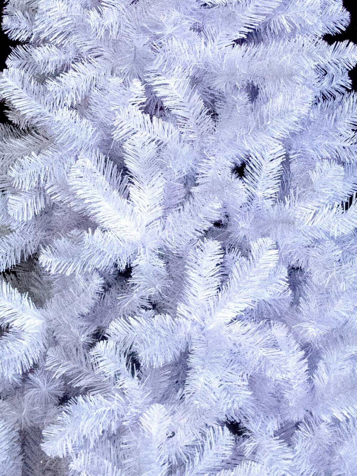 Winter White Pine Christmas Tree With 591 Tips - 1.8m — image 3