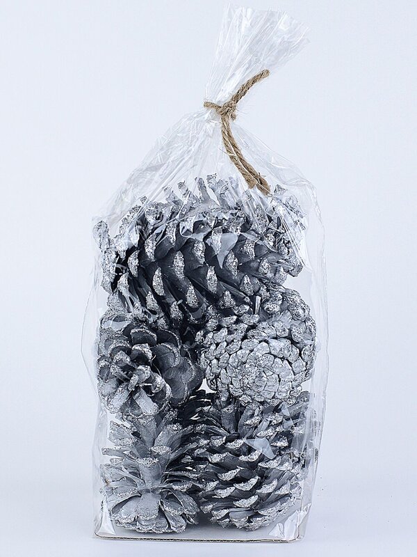 Natural Large Silver Glittered Pinecones | 200g — image 6