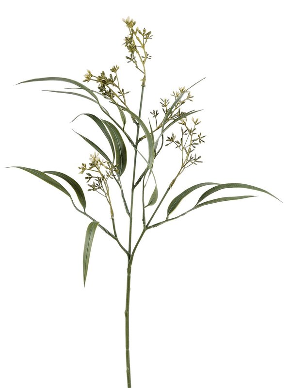 Green Eucalyptus Albens With Buds Long Christmas Stem | 55cm